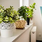 Apartment By Square Bytom