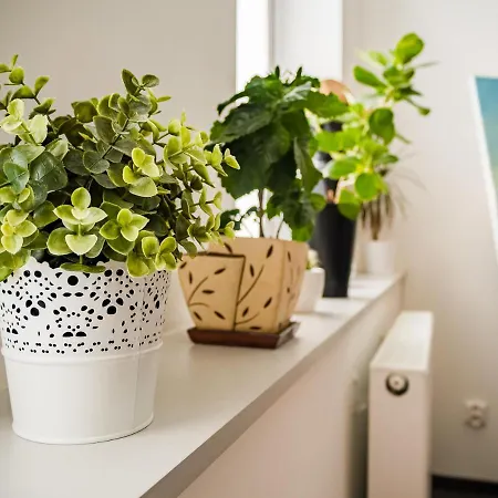 Apartmán Square Bytom